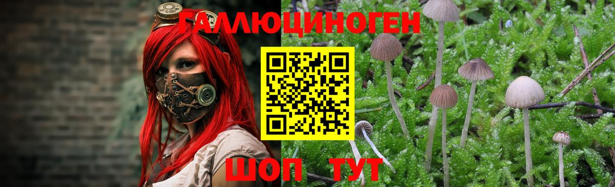 Галлюциногенные грибы Magic Shrooms  Вход с VPN  Кирово-Чепецк  Галлюциногенные грибы прущие грибы 